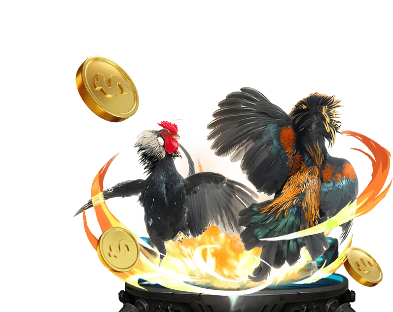 Bước 3: Bắt đầu chơi